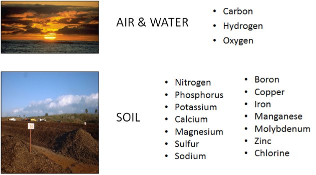 Balanced elemental plant nutrients